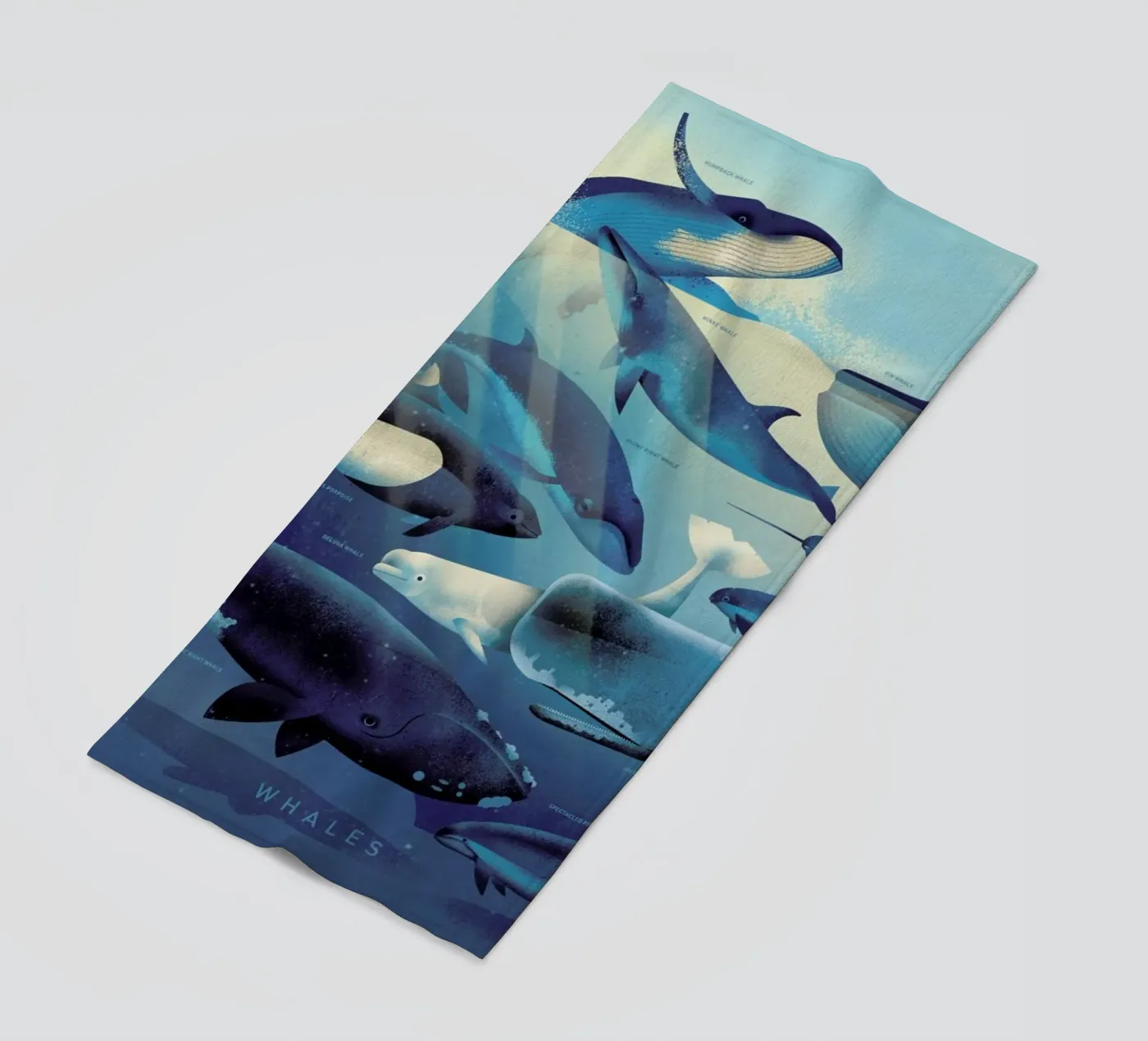 Whales telo mare da Dieter Braun