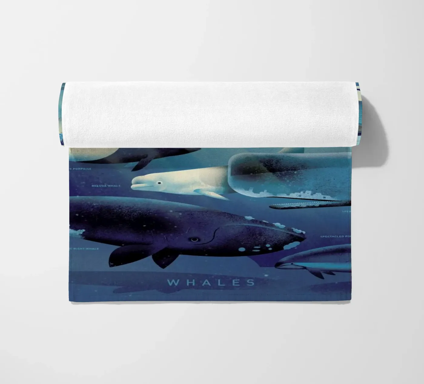 Whales telo mare da Dieter Braun