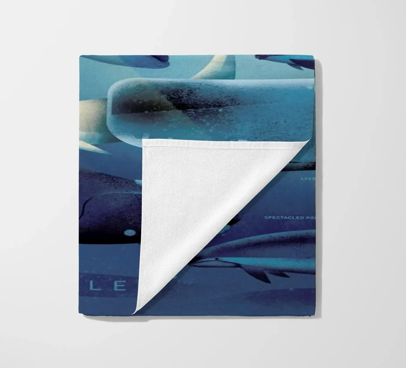 Whales telo mare da Dieter Braun