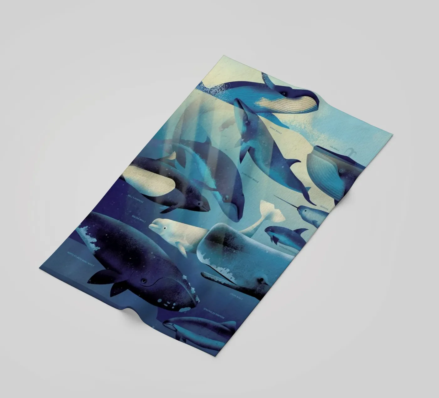 Whales telo mare da Dieter Braun