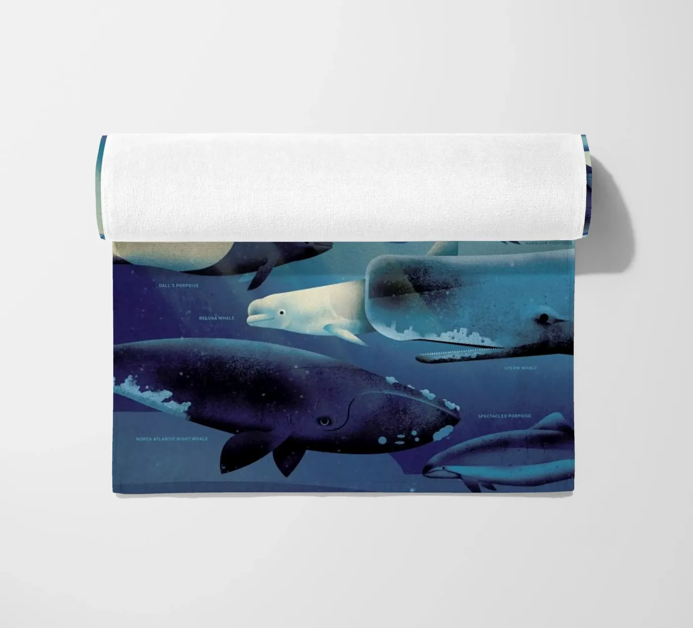 Whales telo mare da Dieter Braun