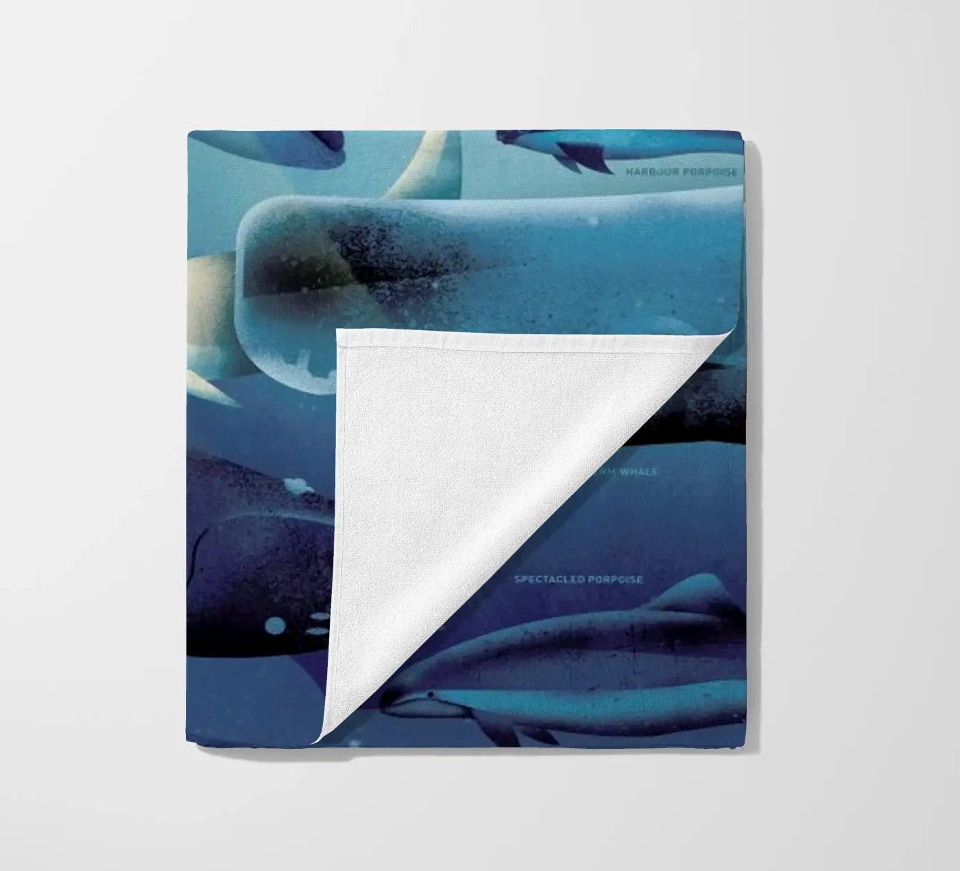 Whales telo mare da Dieter Braun