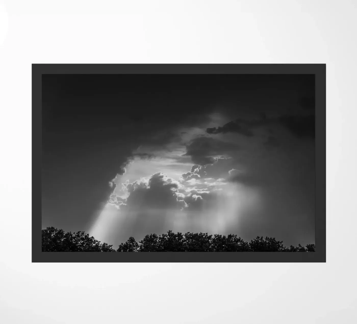 In the cloud zerbino da photolovers