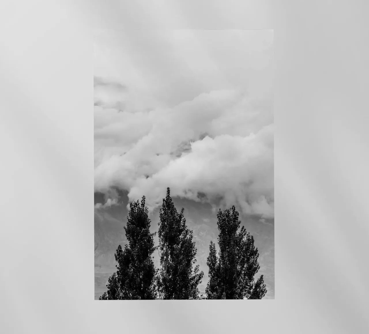 Three trees in cloudy mountains pellicola backlit da photolovers