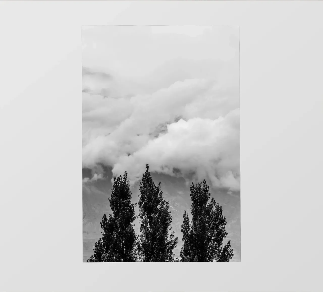 Three trees in cloudy mountains pellicola backlit da photolovers