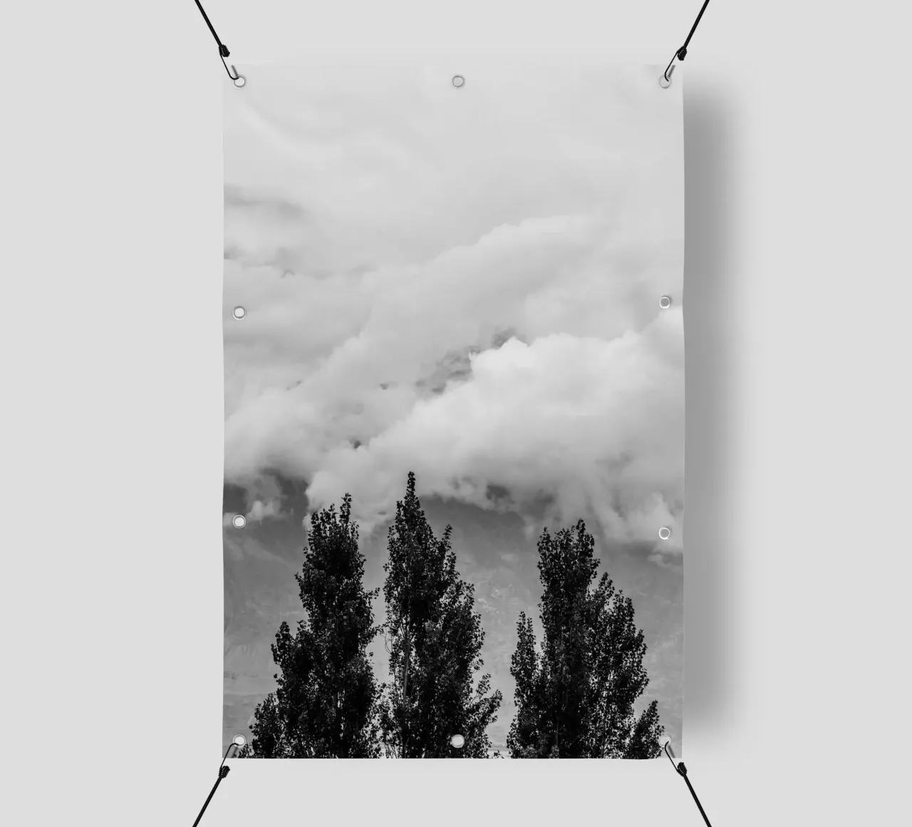 Three trees in cloudy mountains lonas publicitarias de photolovers
