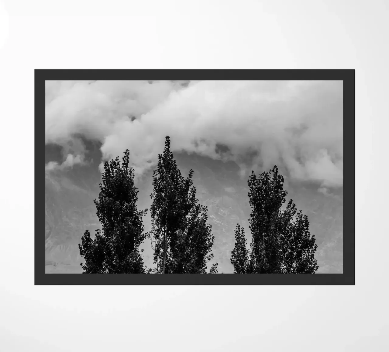 Three trees in cloudy mountains zerbino da photolovers