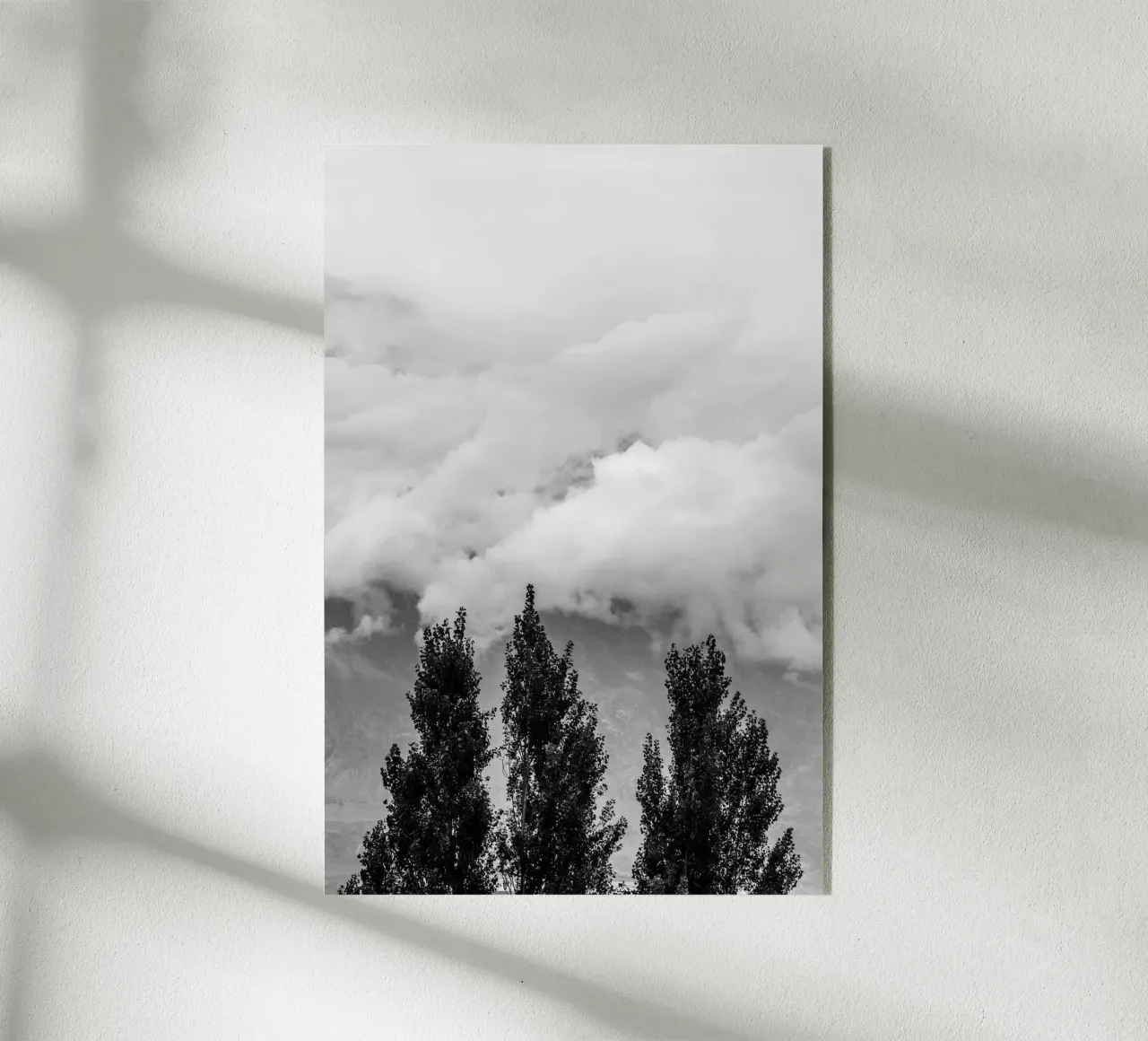 Three trees in cloudy mountains plexiglass da photolovers