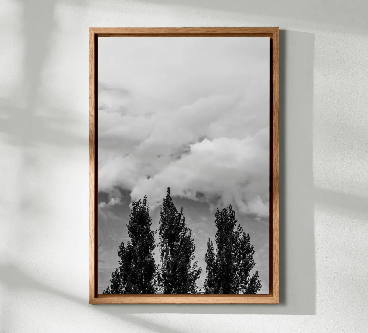 Three trees in cloudy mountains alluminio dibond da photolovers