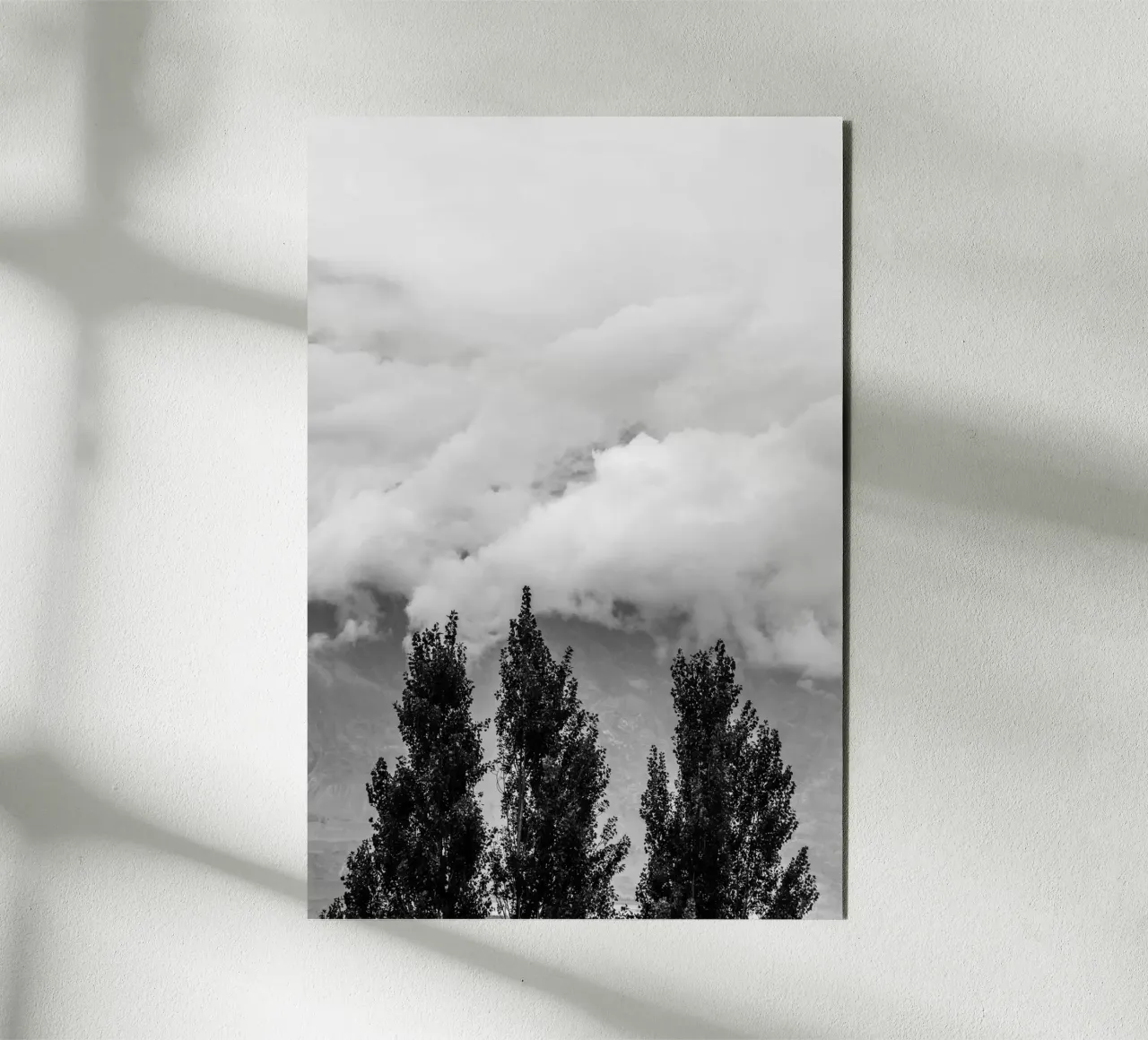 Three trees in cloudy mountains alluminio dibond da photolovers
