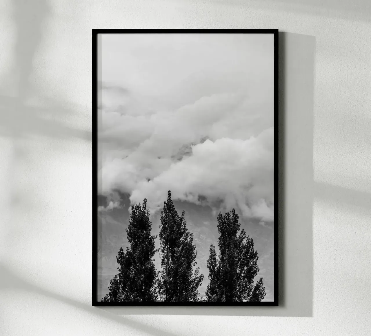 Three trees in cloudy mountains hahnemühle van photolovers