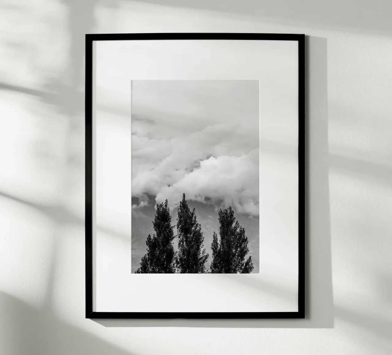 Three trees in cloudy mountains hahnemühle van photolovers