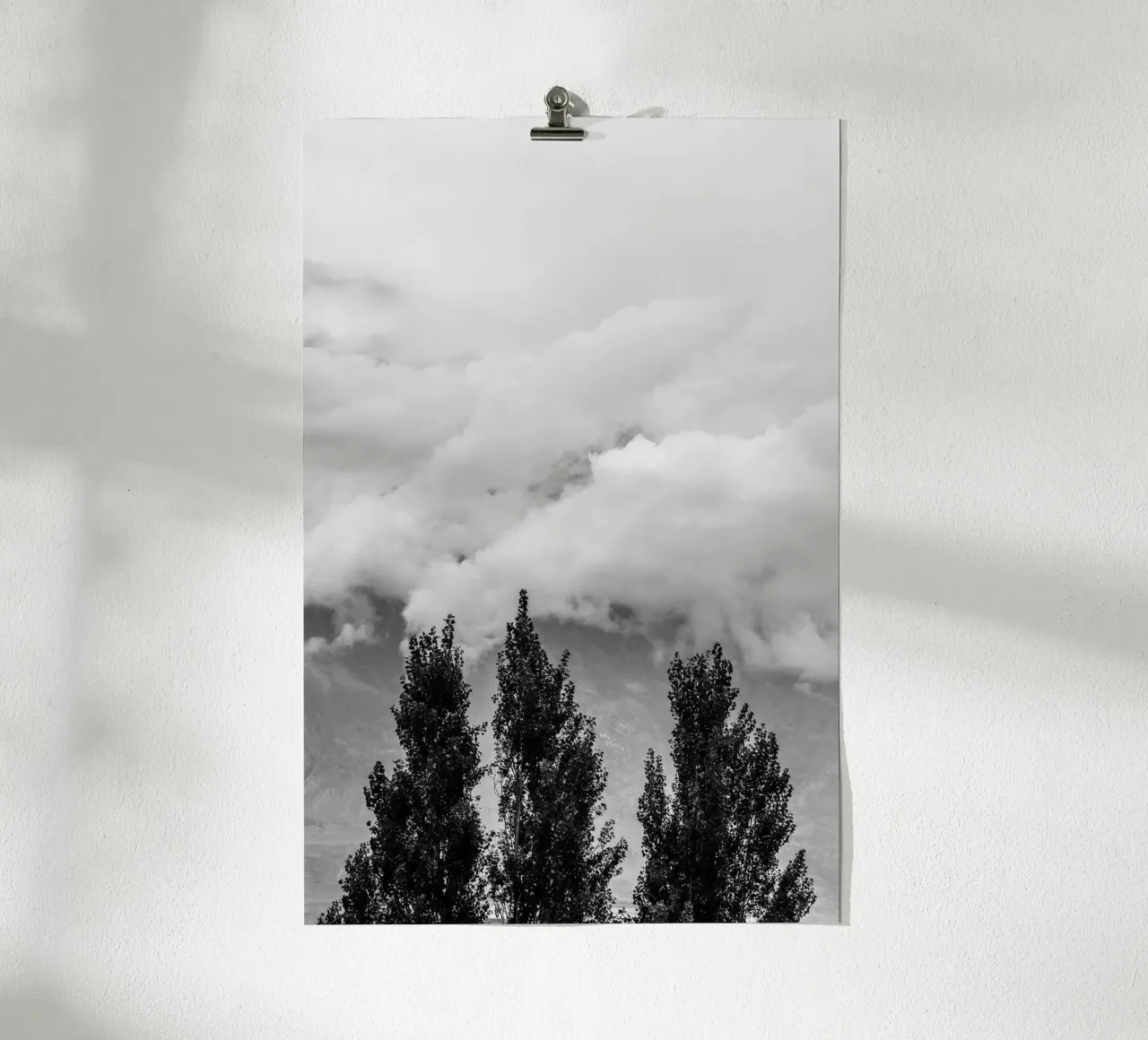 Three trees in cloudy mountains hahnemühle van photolovers