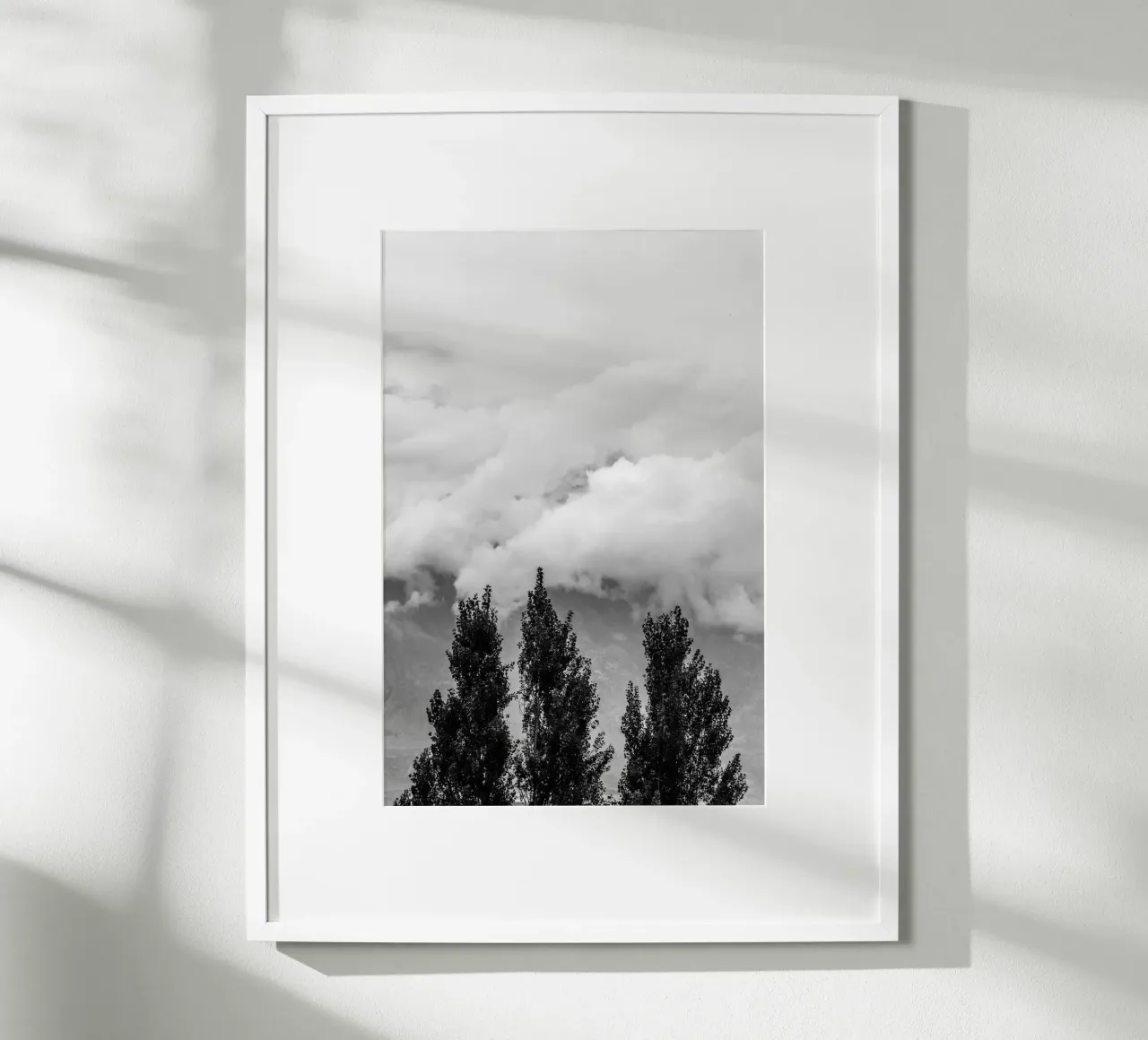 Three trees in cloudy mountains hahnemühle van photolovers