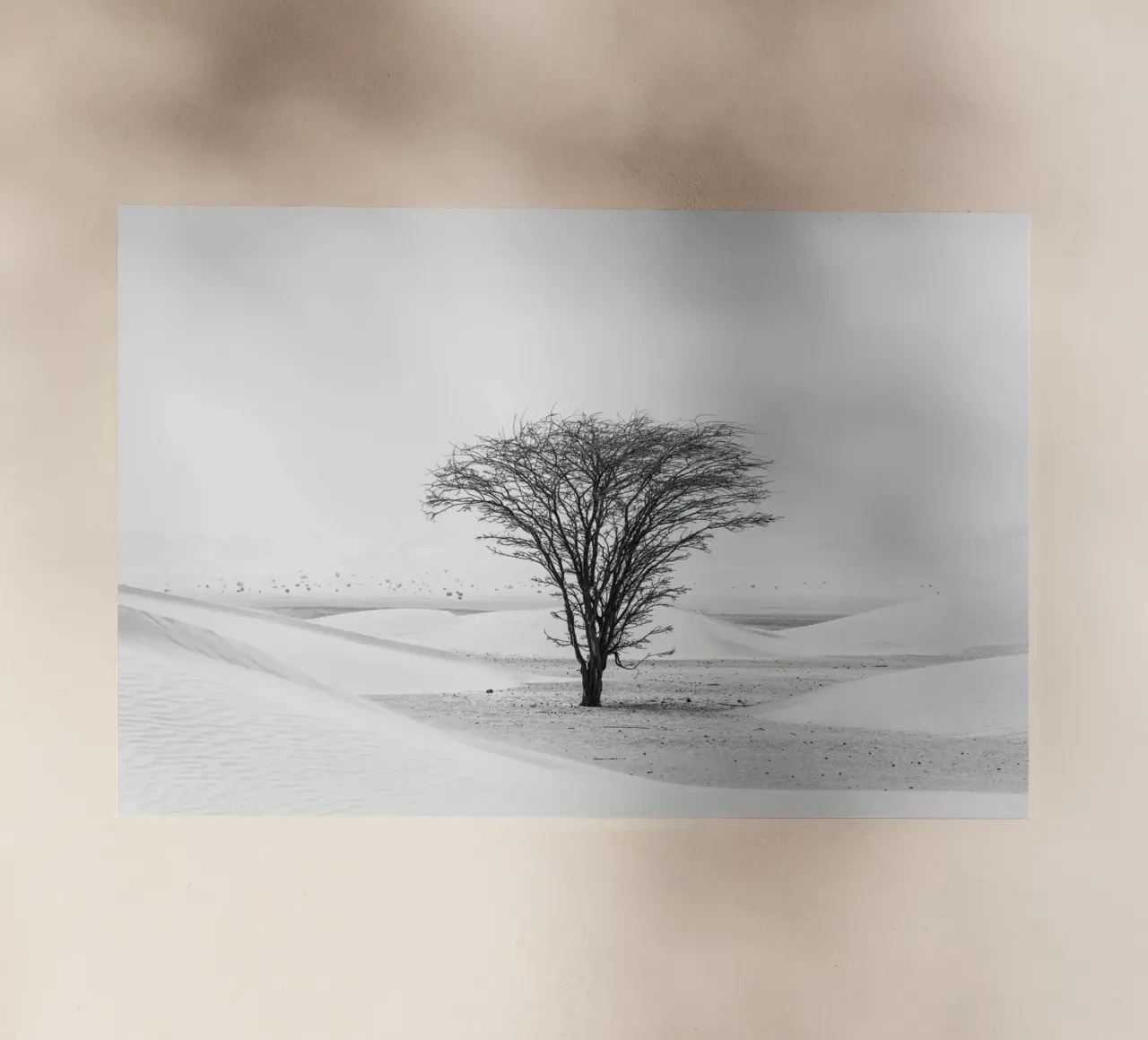 Lonely tree in the desert lámina retroiluminada de photolovers