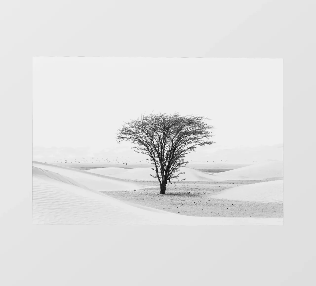 Lonely tree in the desert lámina retroiluminada de photolovers