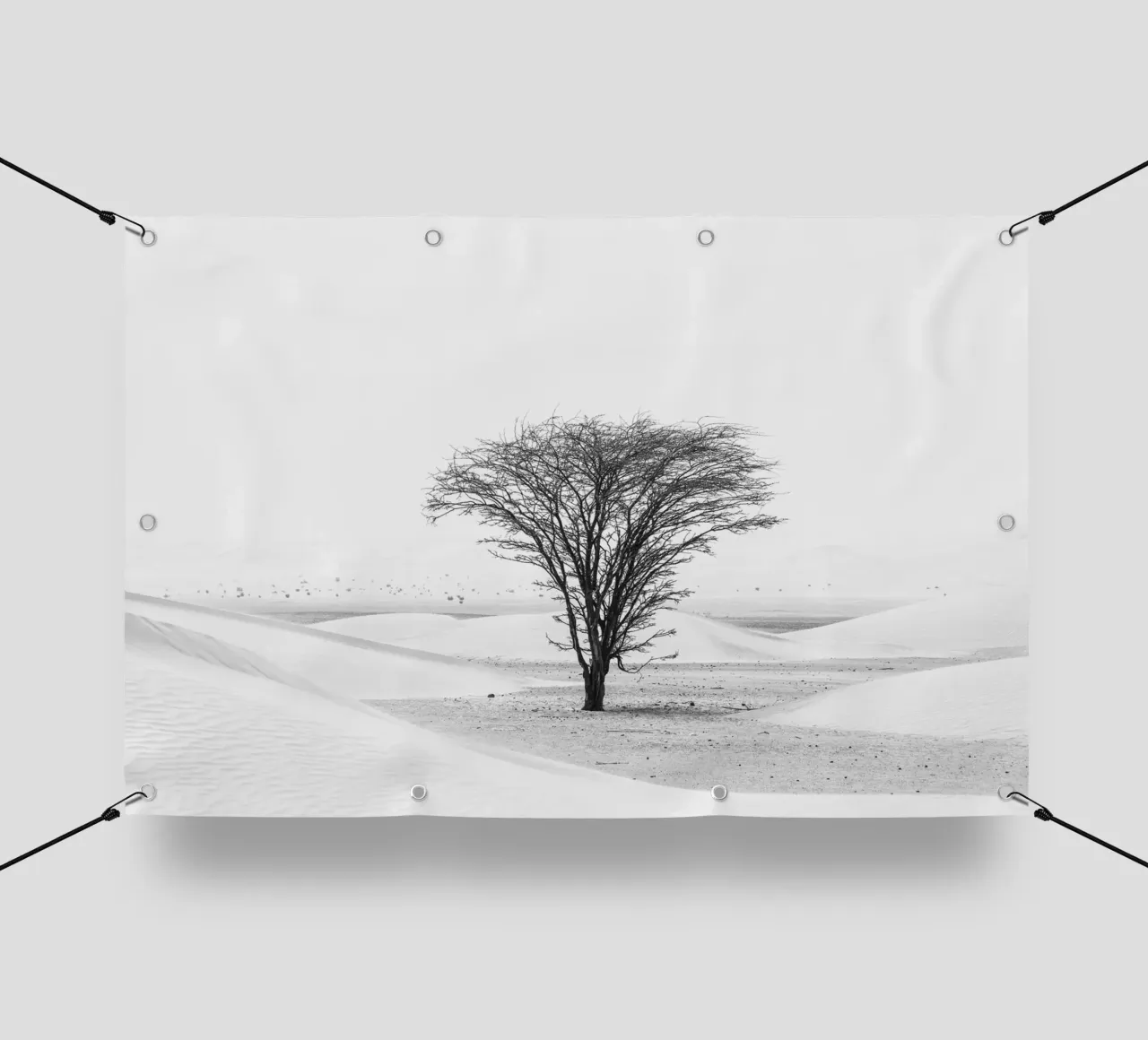 Lonely tree in the desert lonas publicitarias de photolovers