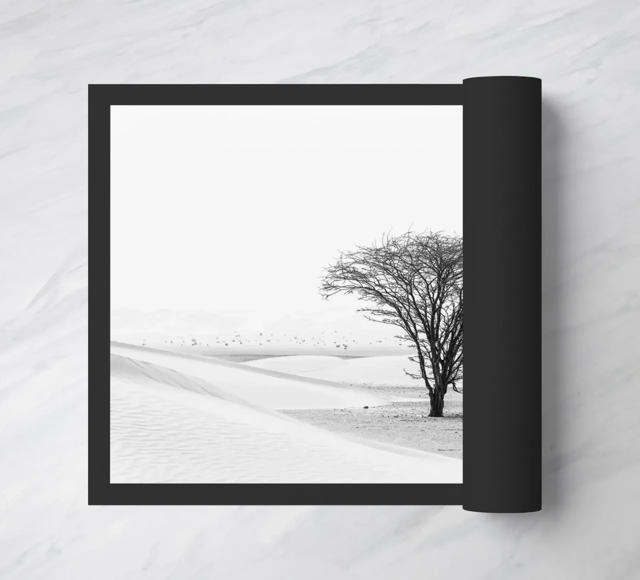 Lonely tree in the desert zerbino da photolovers