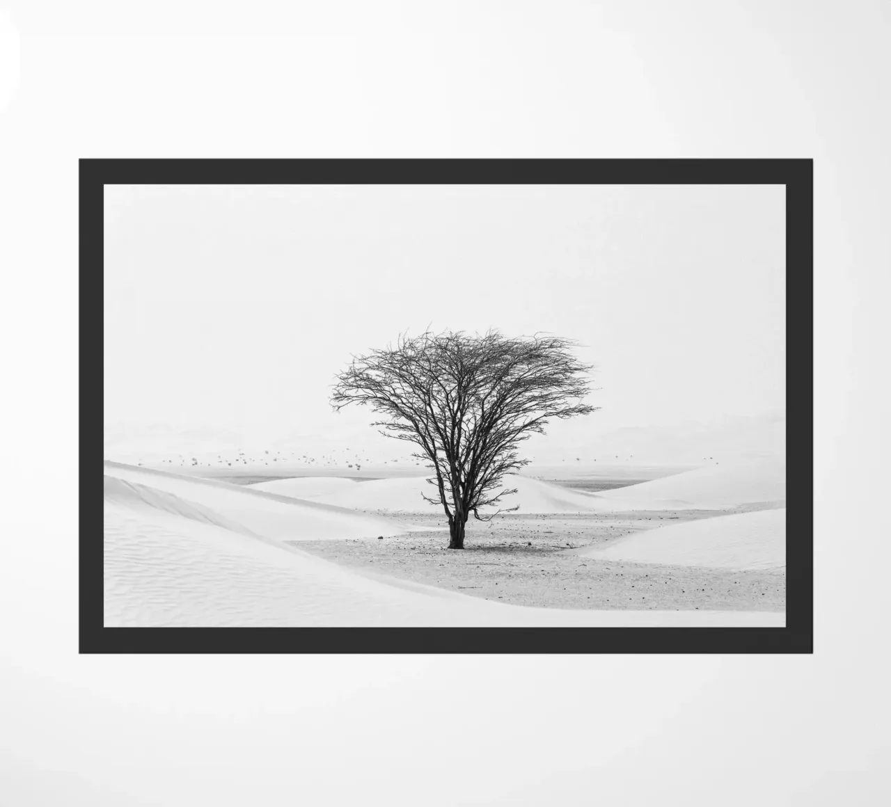 Lonely tree in the desert zerbino da photolovers