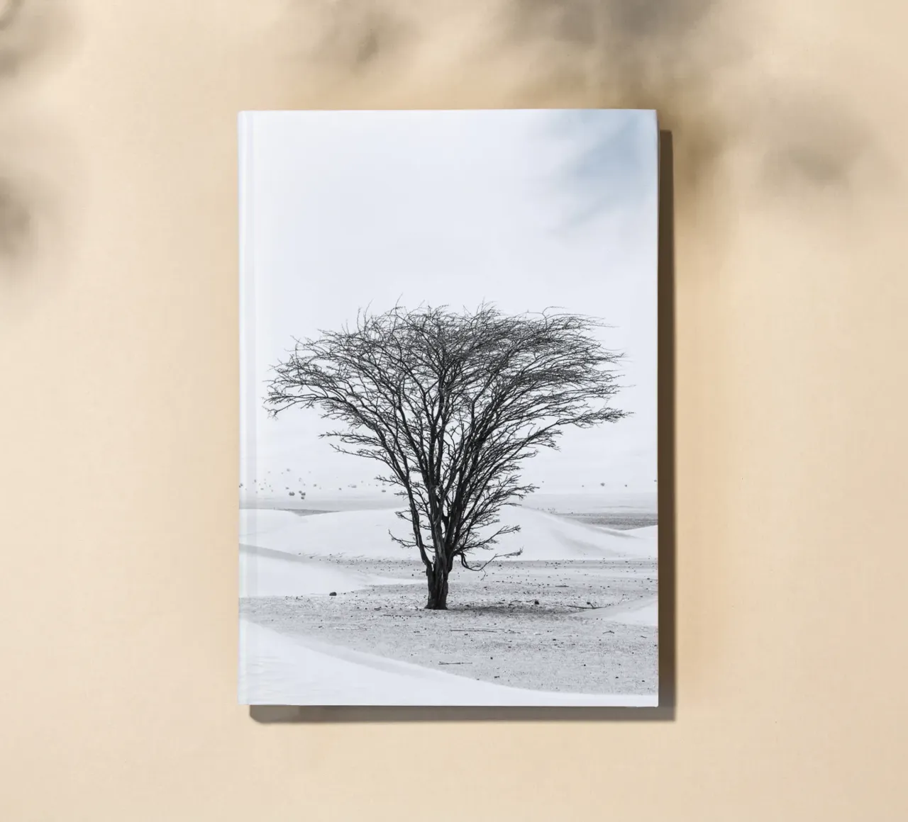 Lonely tree in the desert diario da photolovers