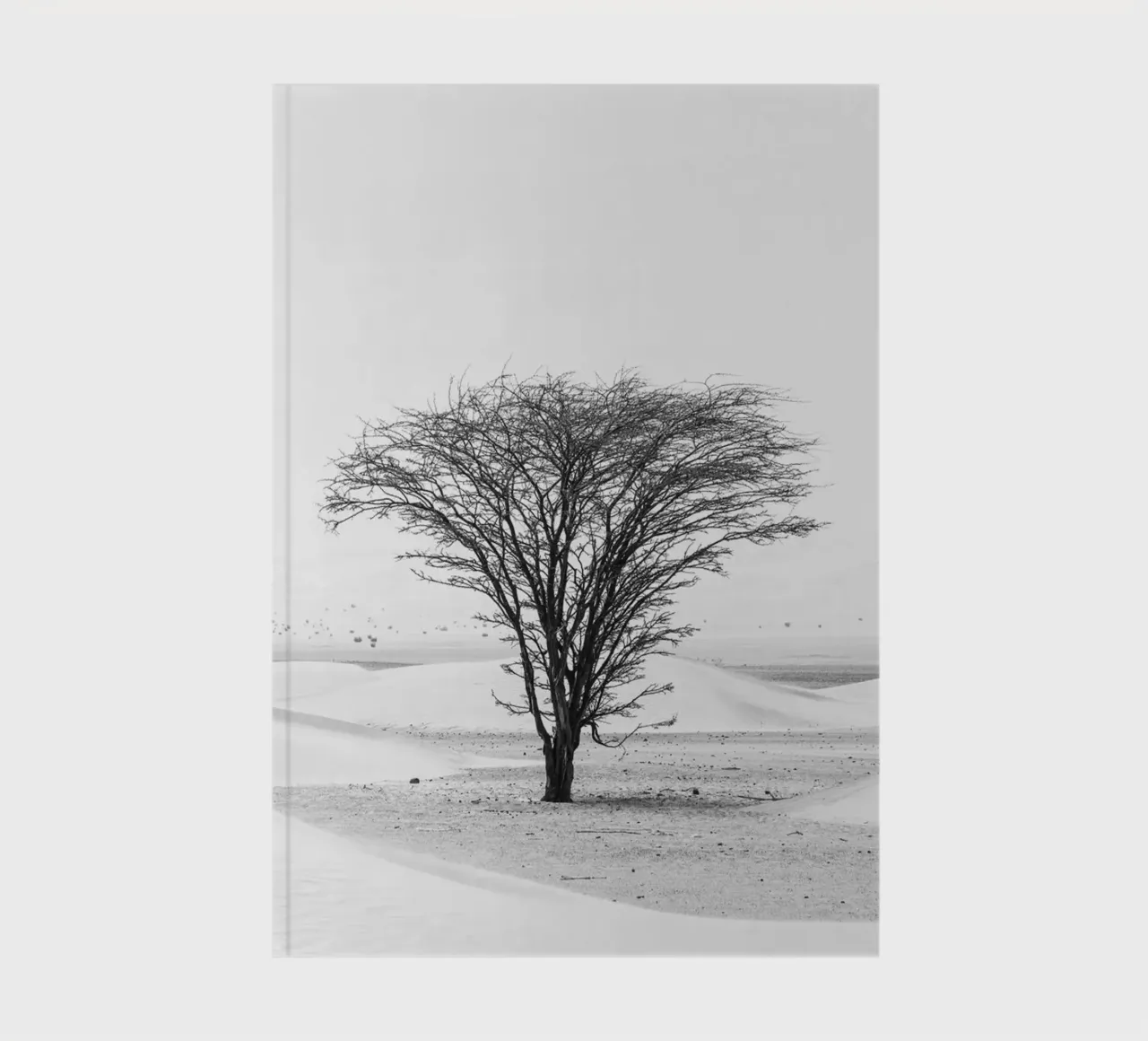 Lonely tree in the desert diario da photolovers