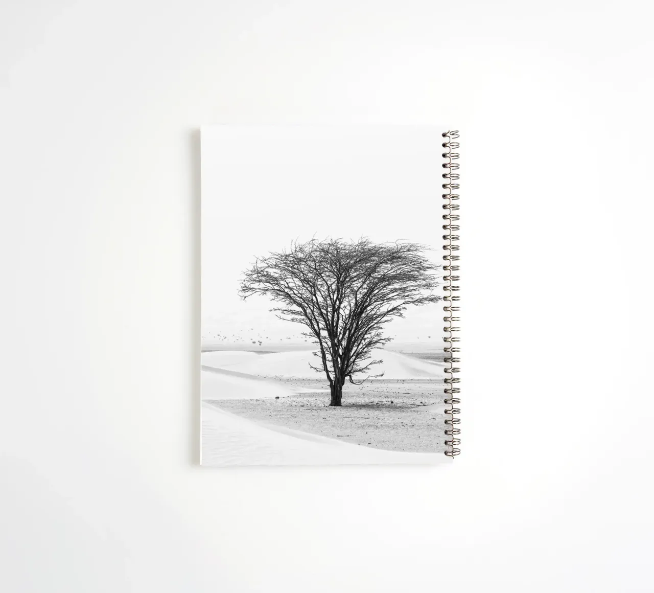 Lonely tree in the desert diario ad anelli da photolovers
