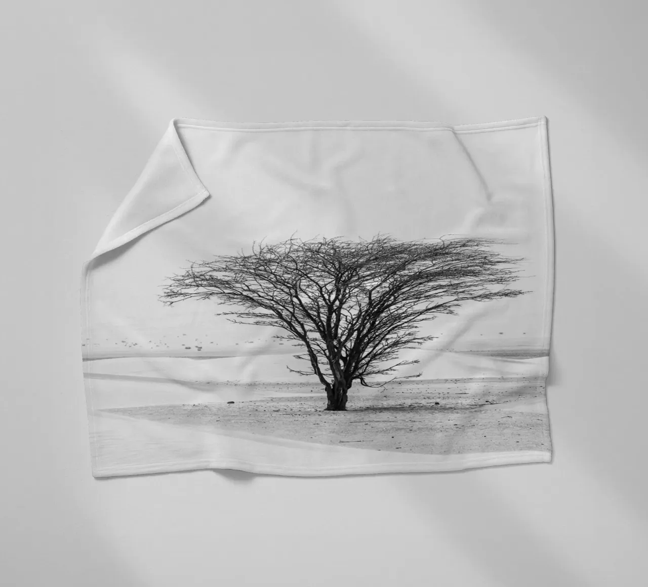 Lonely tree in the desert coperta in pile da photolovers