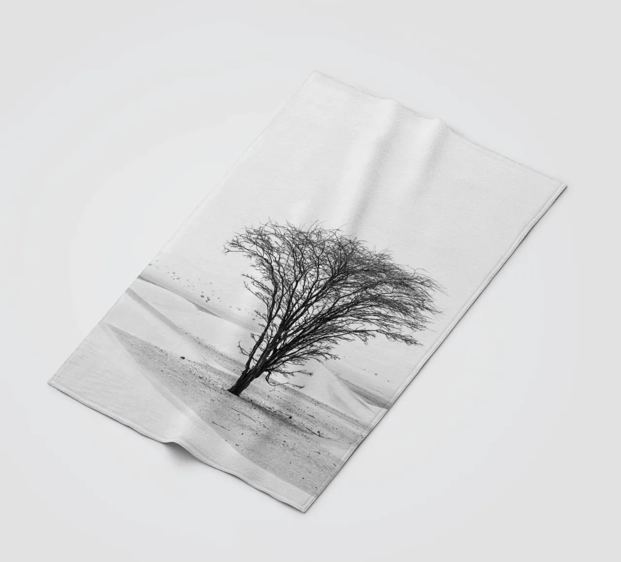 Lonely tree in the desert coperta in pile da photolovers