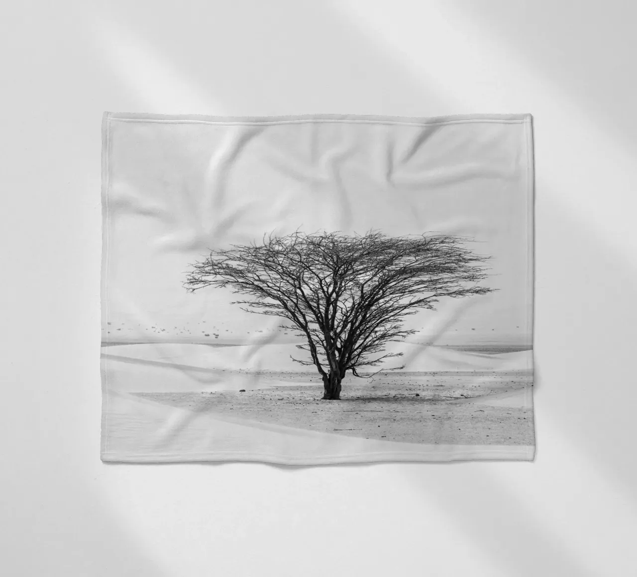 Lonely tree in the desert coperta in pile da photolovers