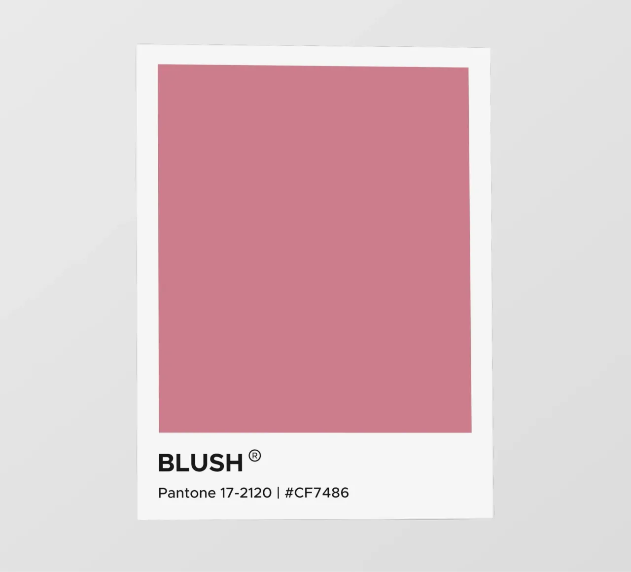 Pantone Blush pellicola backlit da Paigaam Studio