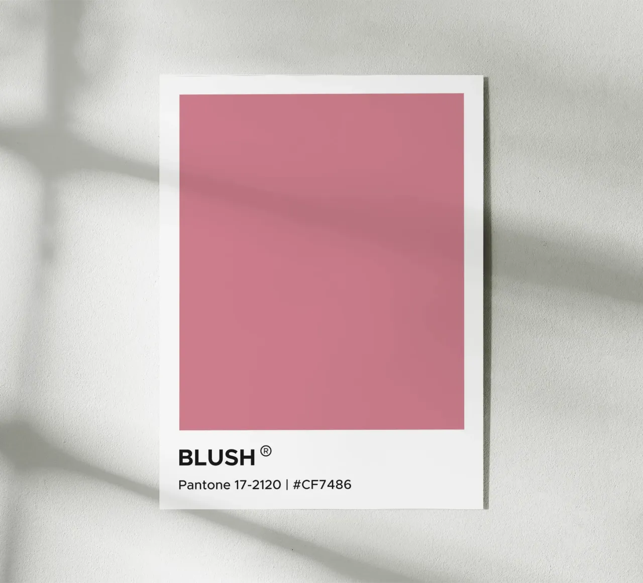 Pantone Blush plexiglass da Paigaam Studio