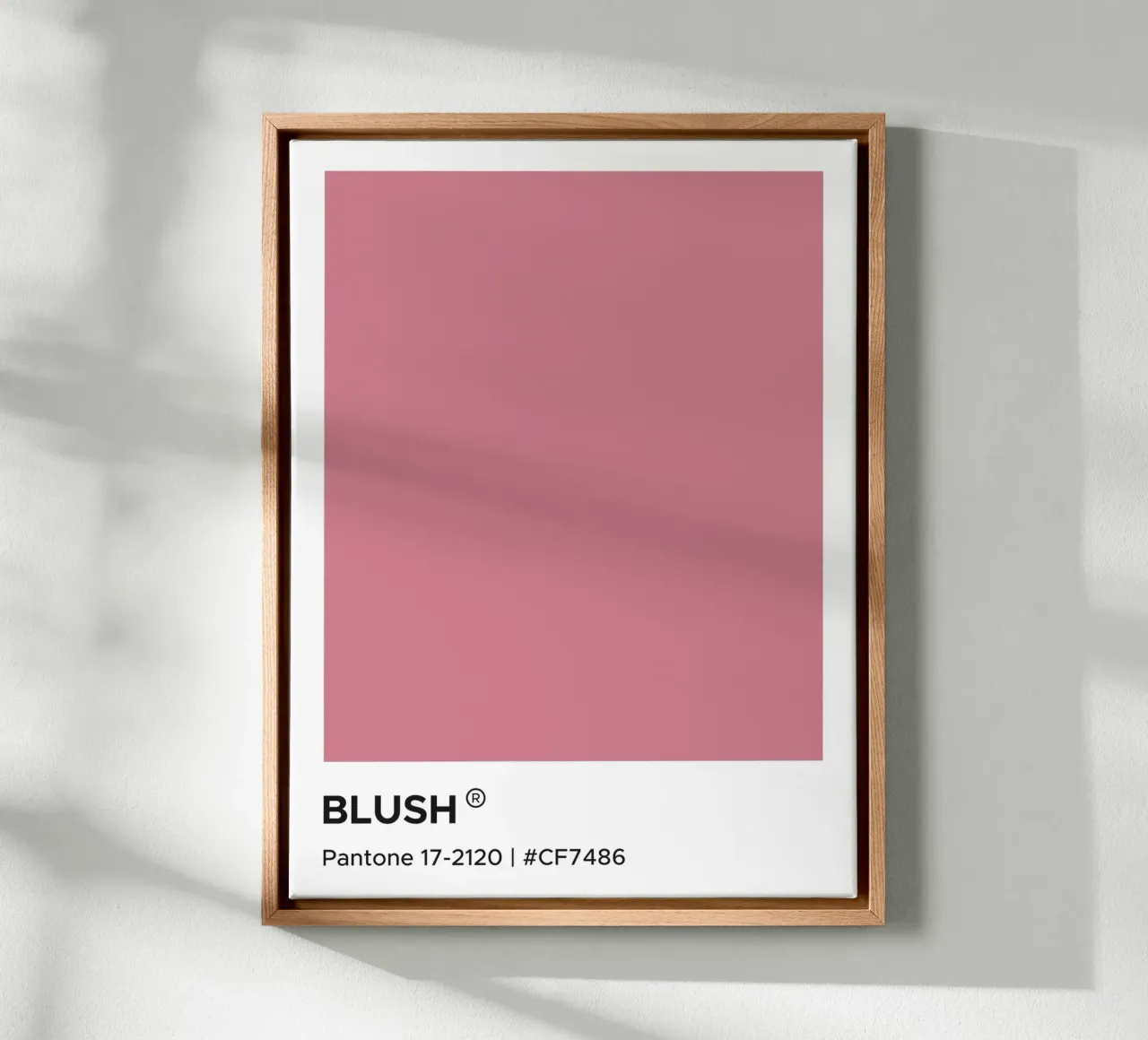 Blush Pantone canvas with Floater frame by Paigaam Studio