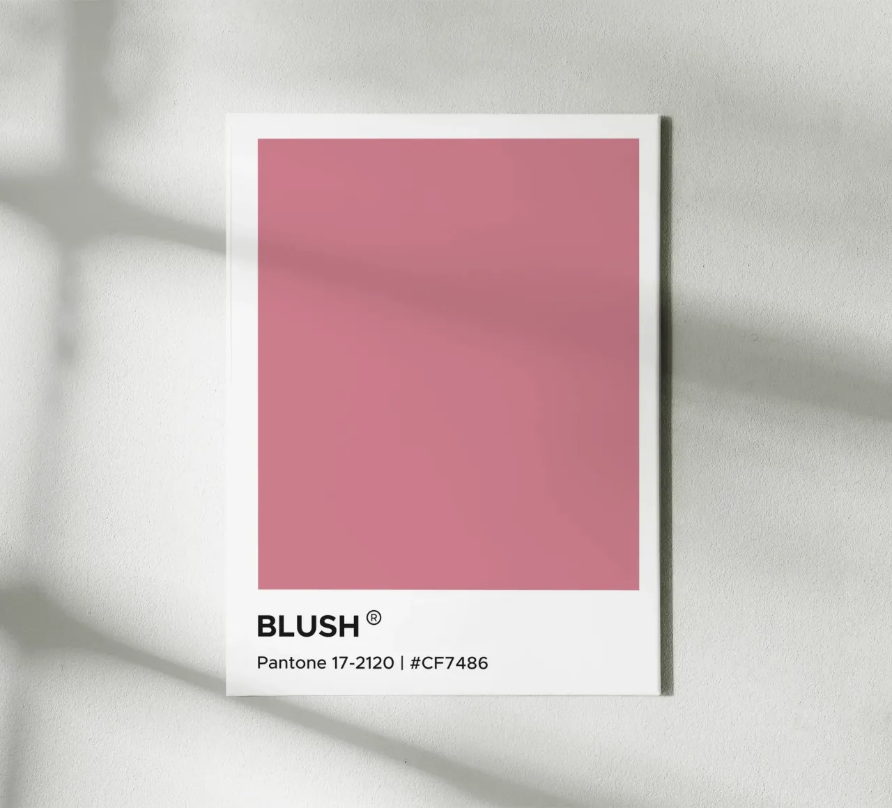 Blush Pantone canvas with Floater frame by Paigaam Studio