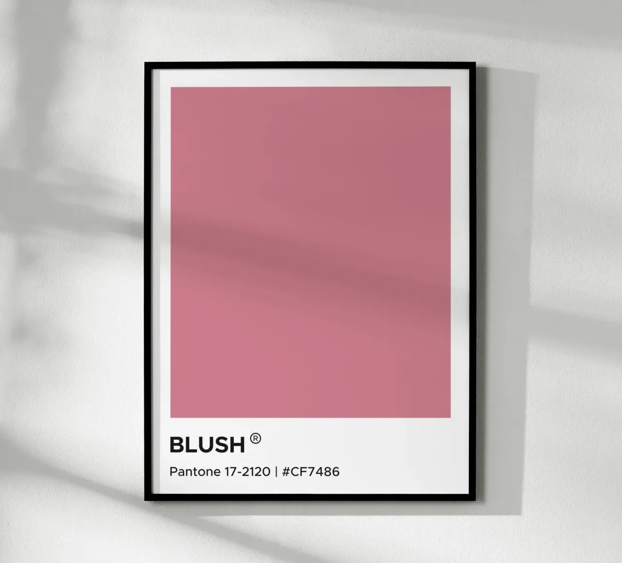 Pantone Blush carta hahnemühle da Paigaam Studio