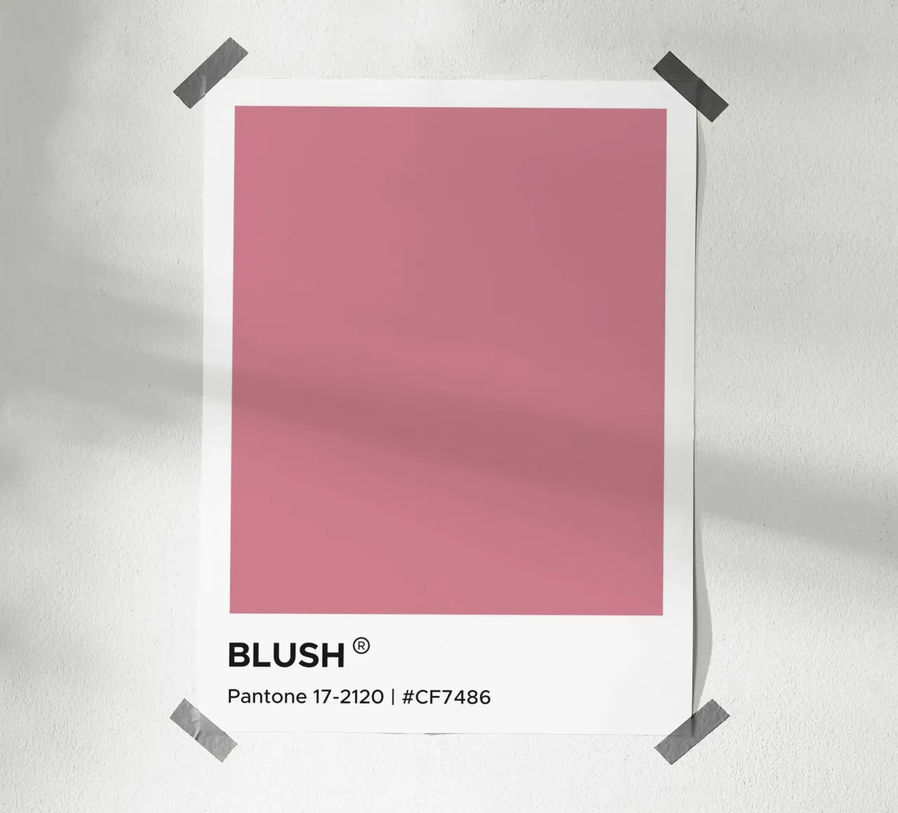 Pantone Blush carta hahnemühle da Paigaam Studio