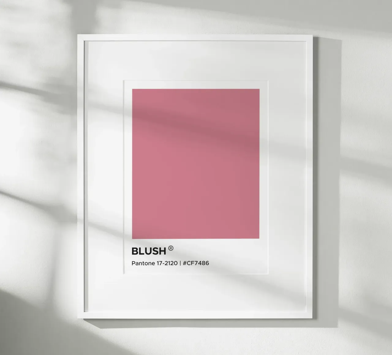 Pantone Blush carta hahnemühle da Paigaam Studio