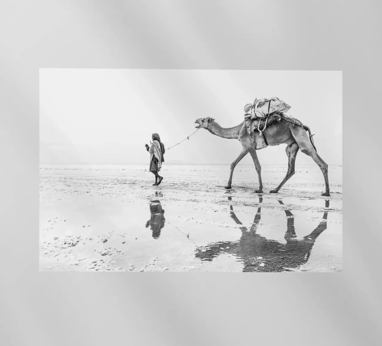 Man with his camel pellicola backlit da photolovers