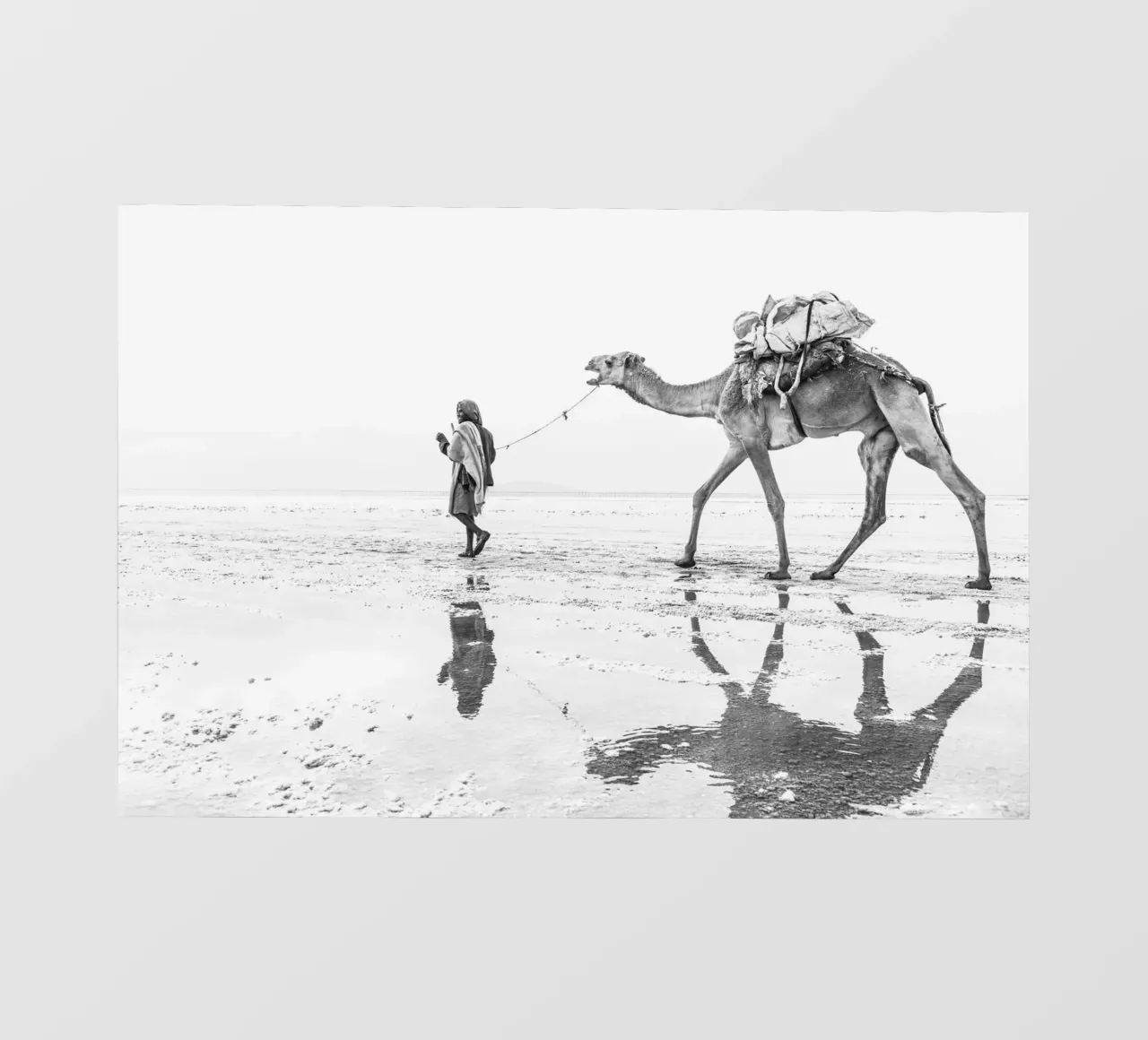 Man with his camel pellicola backlit da photolovers
