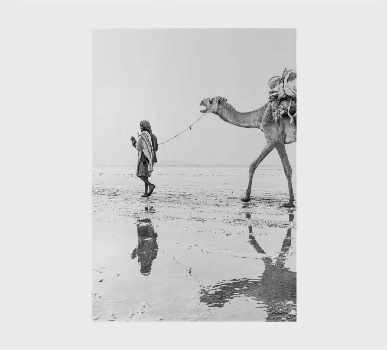 Man with his camel notebook by photolovers