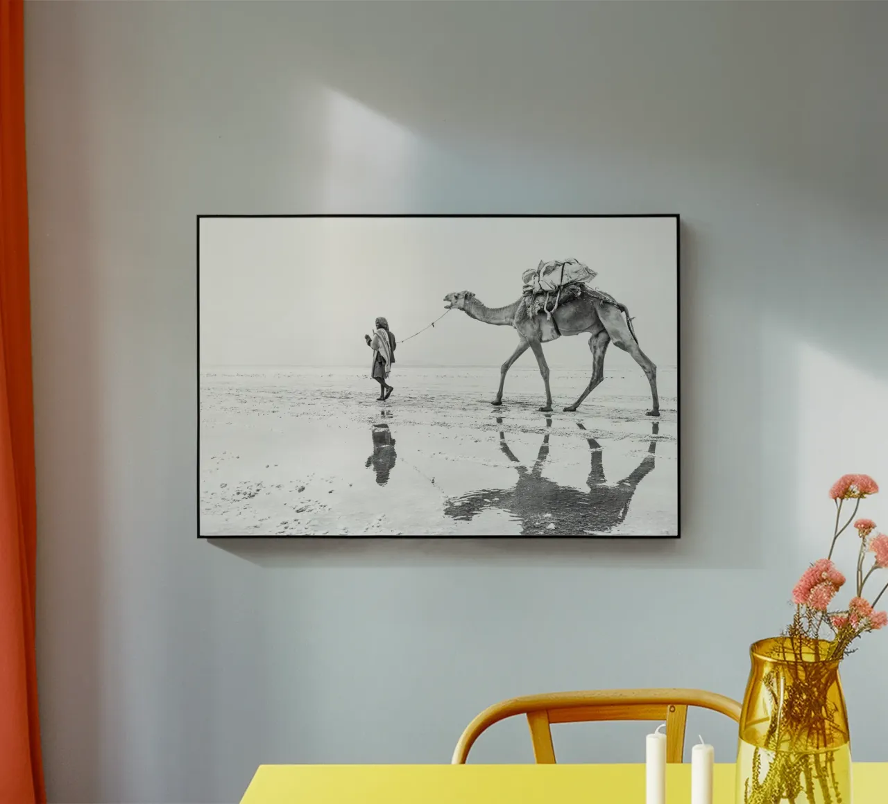 Man with his camel plexiglass da photolovers