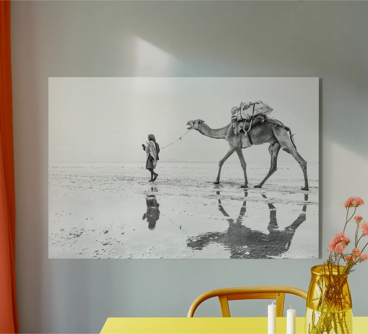 Man with his camel plexiglass da photolovers