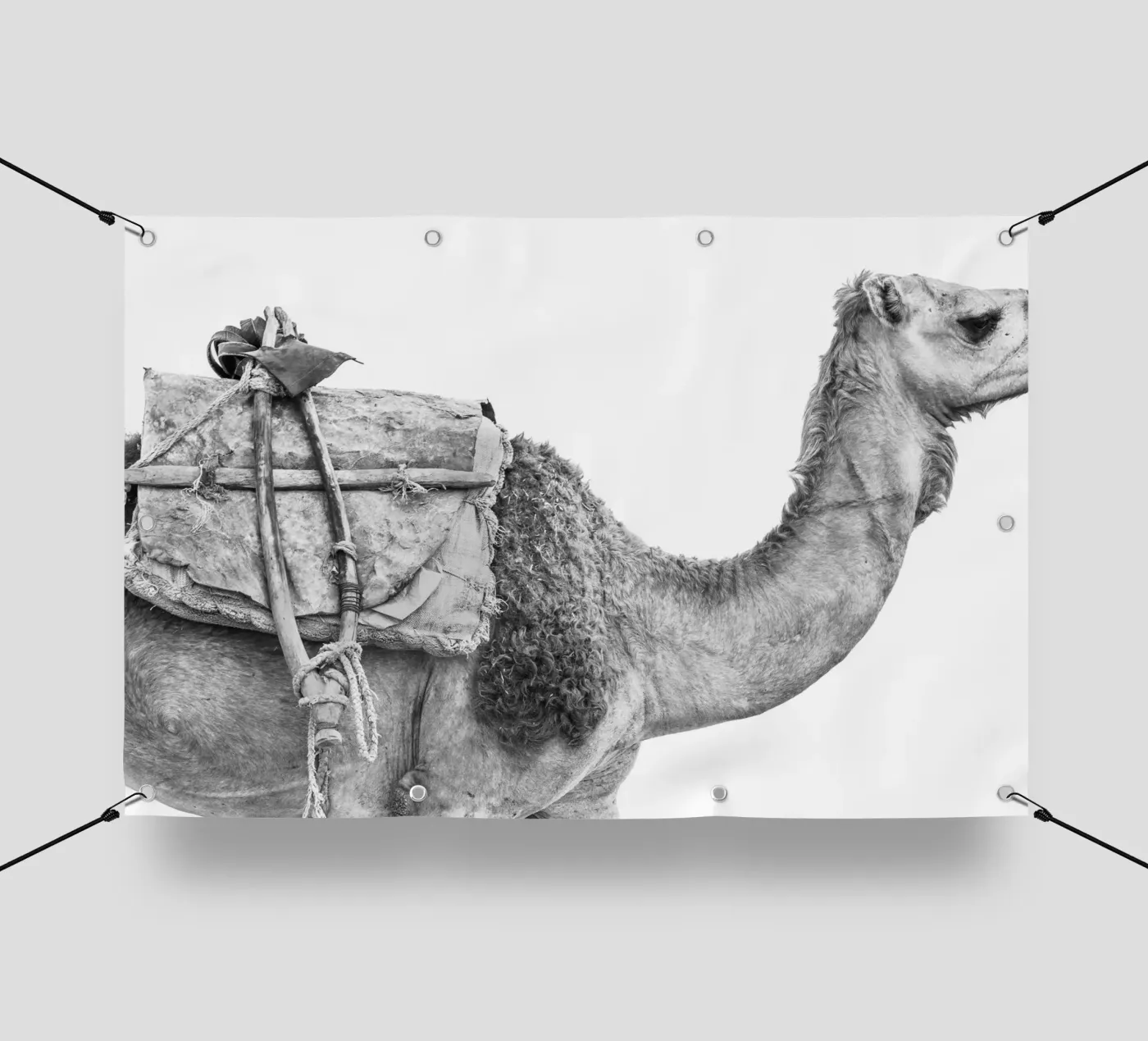 Camel bâche pvc de photolovers