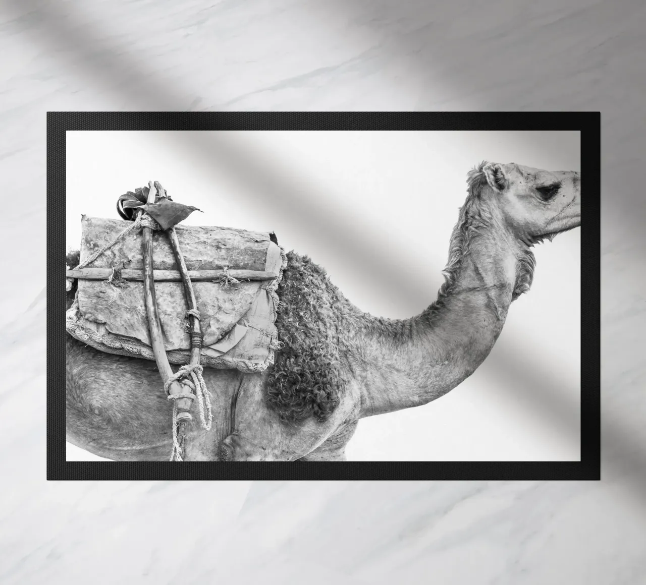 Camel zerbino da photolovers