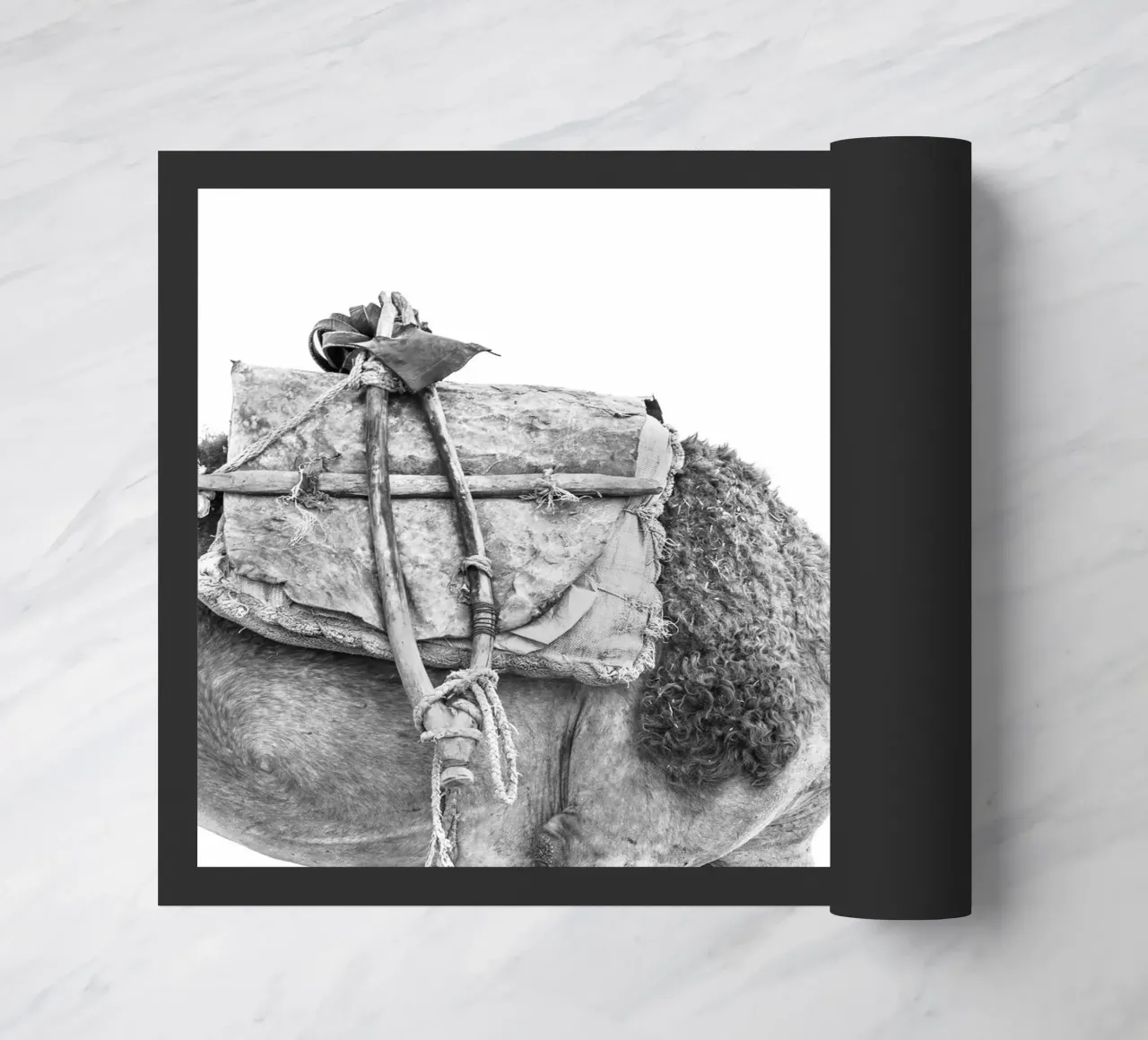 Camel zerbino da photolovers