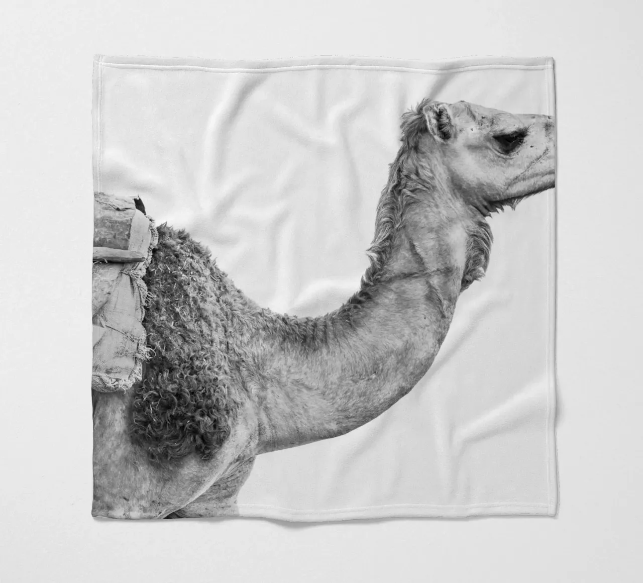 Camel Fleecedecke von photolovers
