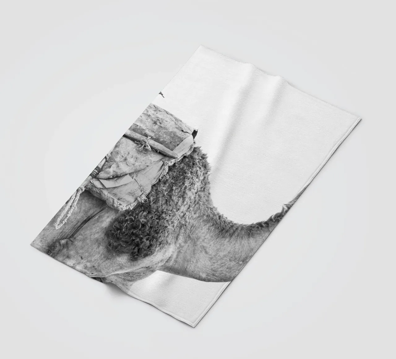 Camel Fleecedecke von photolovers