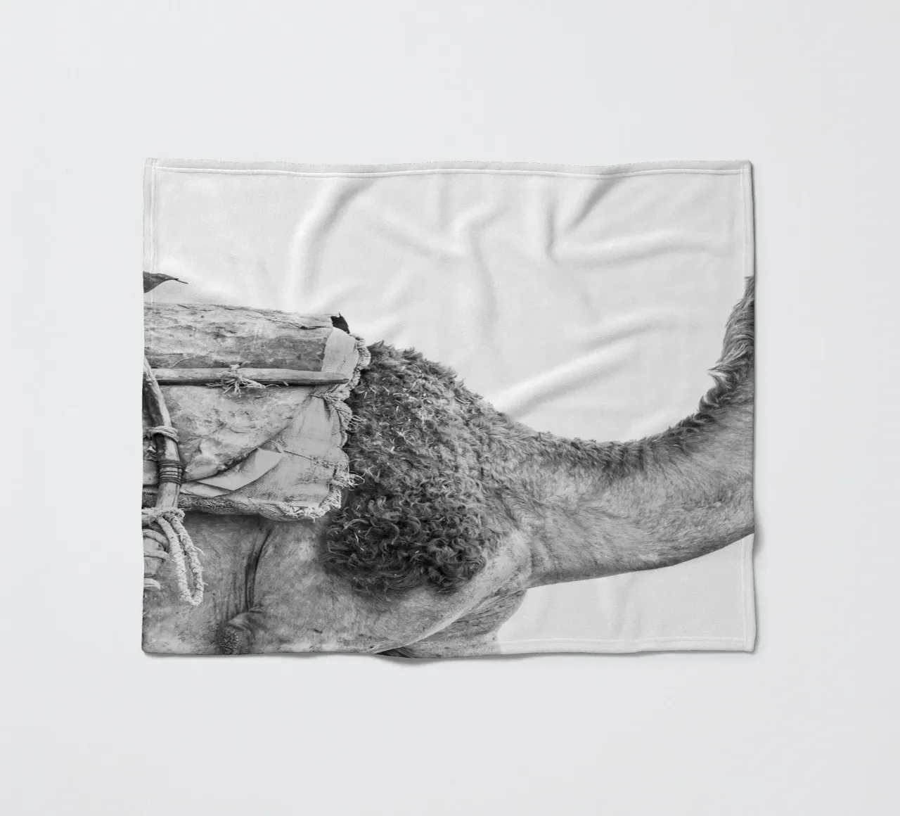 Camel Fleecedecke von photolovers