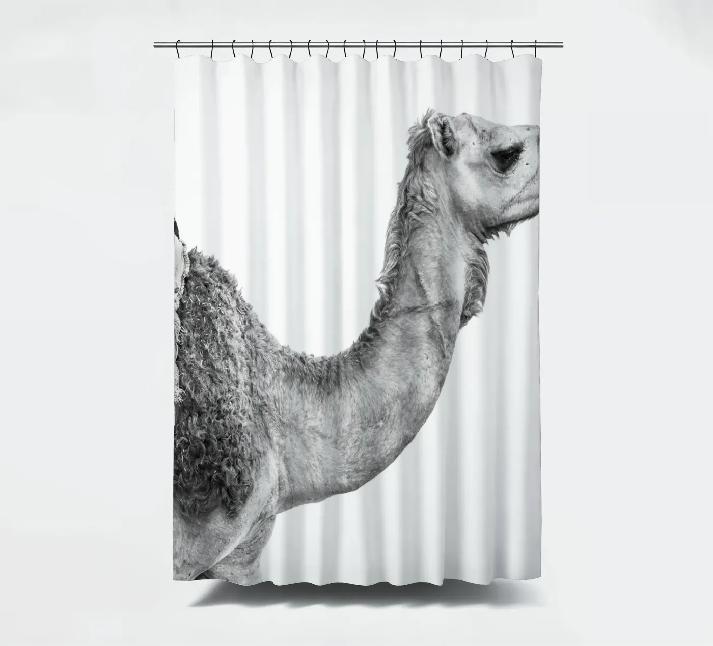 Camel Duschvorhang von photolovers