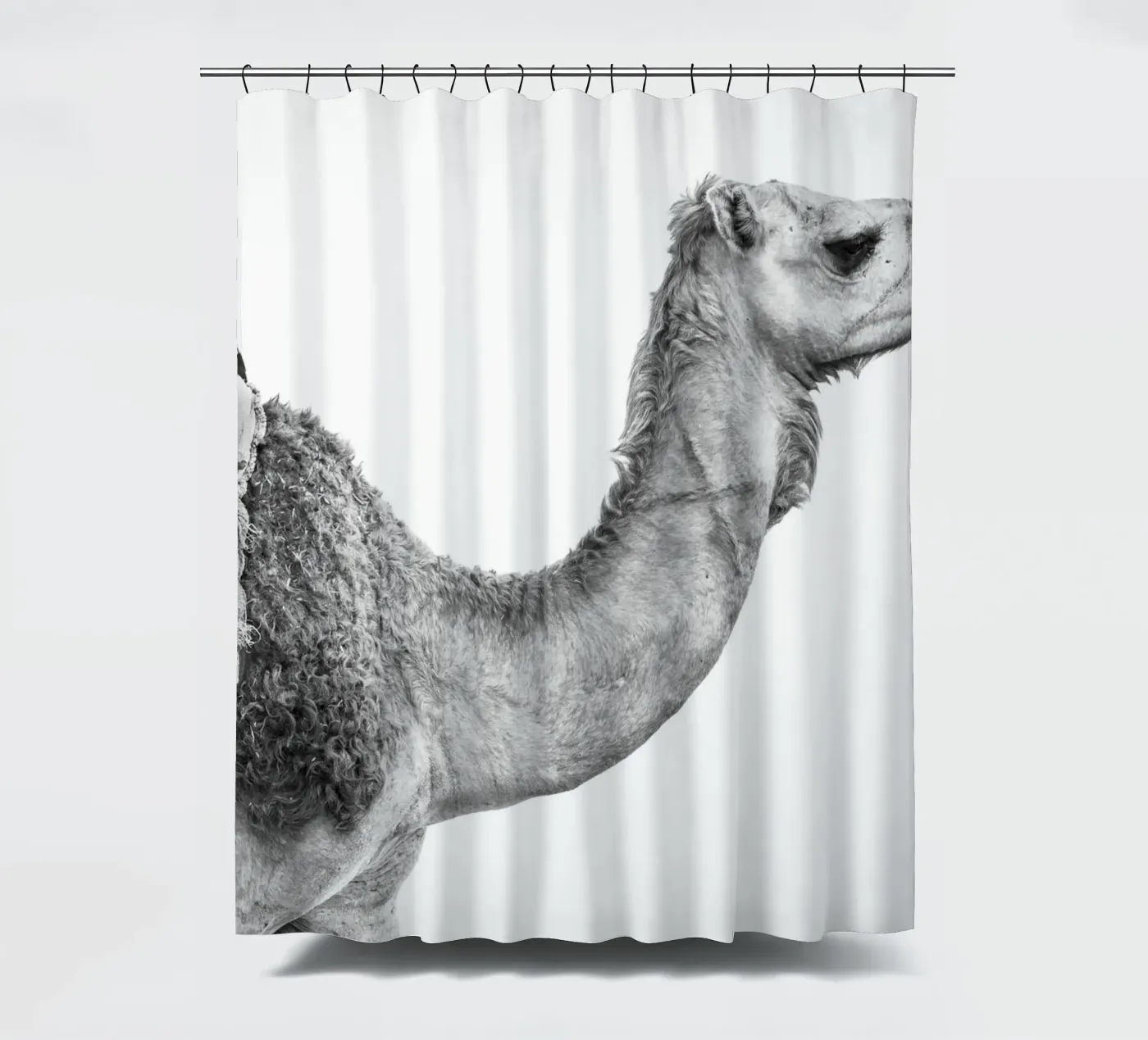 Camel Duschvorhang von photolovers