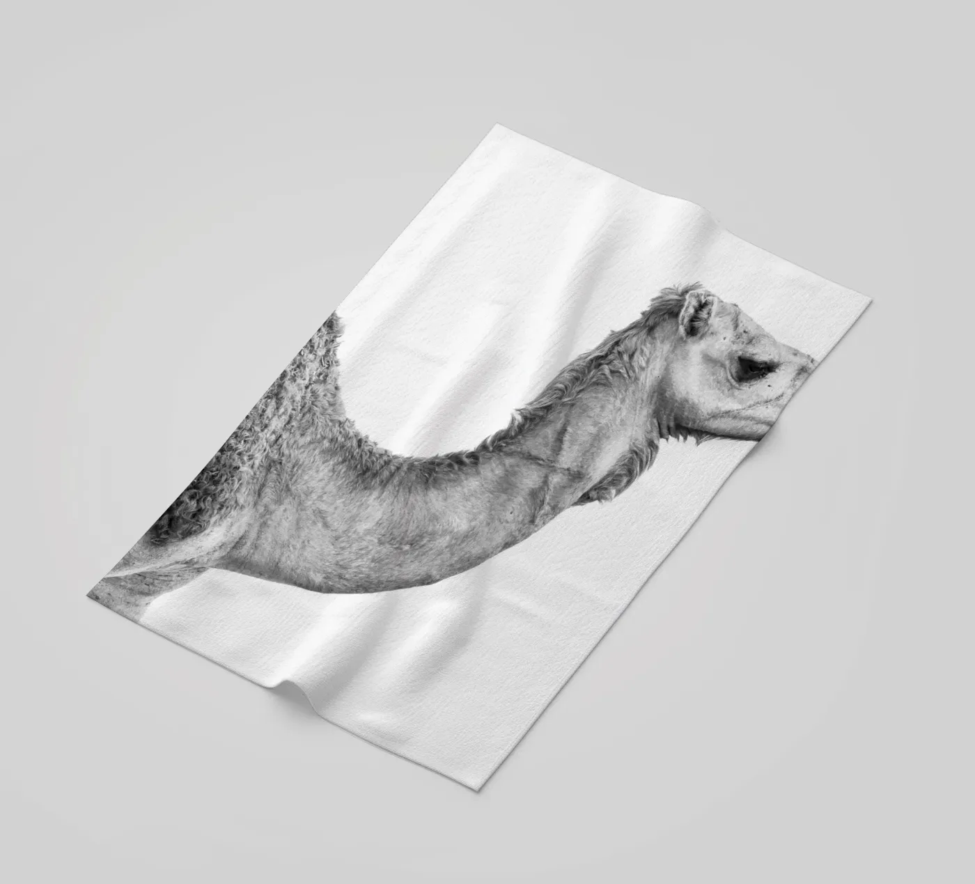 Camel Strandtuch von photolovers